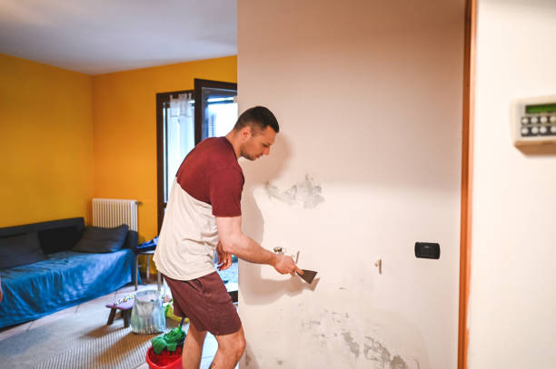 Reliable Bridgewater, VA Mold Removal Solutions