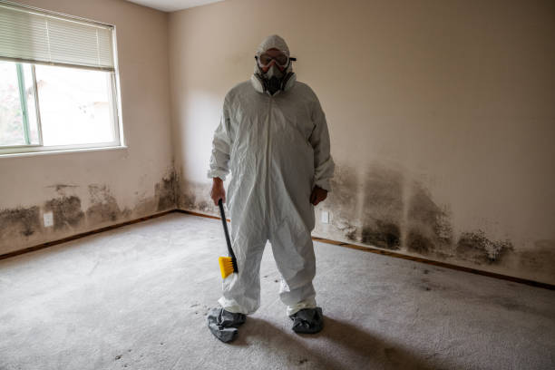 Best Mold Cleaning Services  in Bridgewater, VA